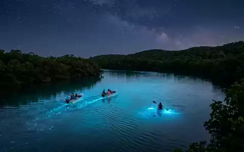 Editorialbild im Reisemagazin-Stil vom Wahrzeichen Vieques Biobucht in Vieques Puerto Rico, ausgewogene Bildgestaltung und natuerliches - Foto: THN