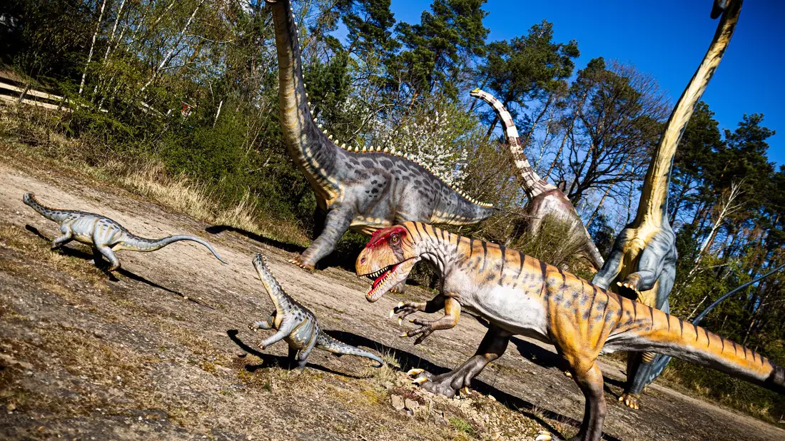 Dinosaurier konnten viele Tonnen schwer werden - aber offenbar nicht so klein, dass sie nur ein paar Gramm wogen. (Archivbild) - Bild: Moritz Frankenberg/dpa
