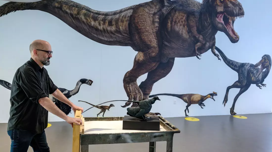 Das Modell eines Microraptors auf einem Wagen im Museum zeigt, wie groß selbst die kleinsten Dinosaurier waren. (Handout) - Bild: Alvaro Keding/AMNH/dpa
