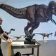 Das Modell eines Microraptors auf einem Wagen im Museum zeigt, wie groß selbst die kleinsten Dinosaurier waren. (Handout) - Bild: Alvaro Keding/AMNH/dpa