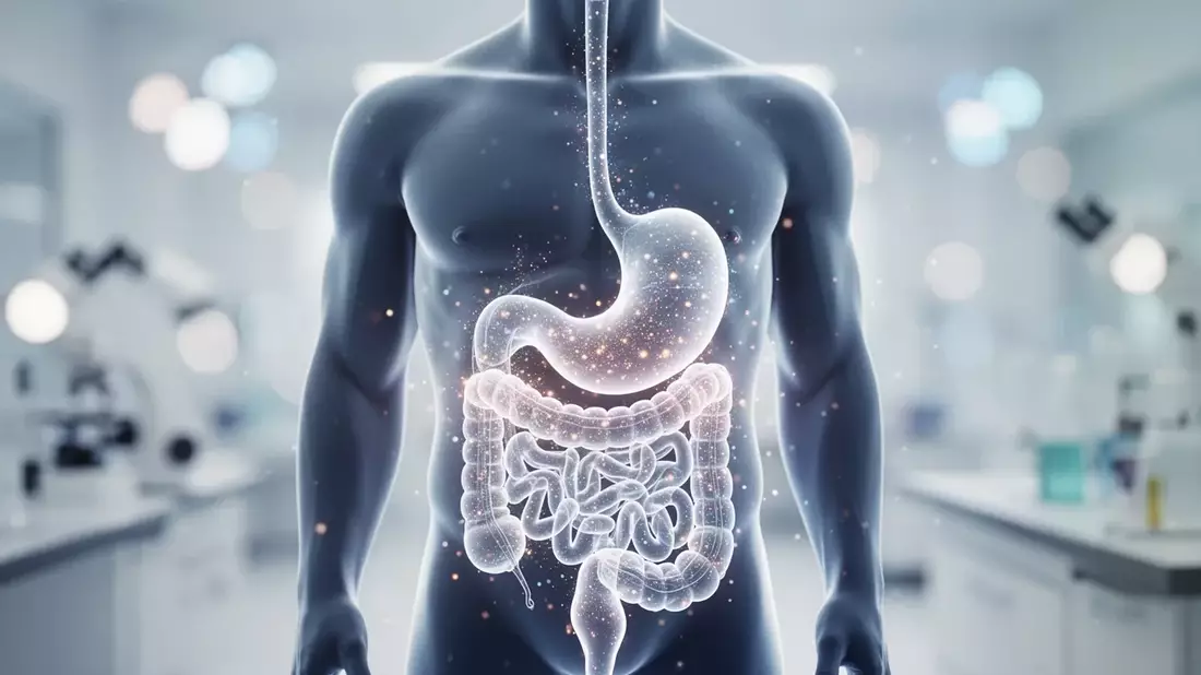 ISB-Studie: Optimale Stuhlgangfrequenz als Schlüssel zur Darmgesundheit