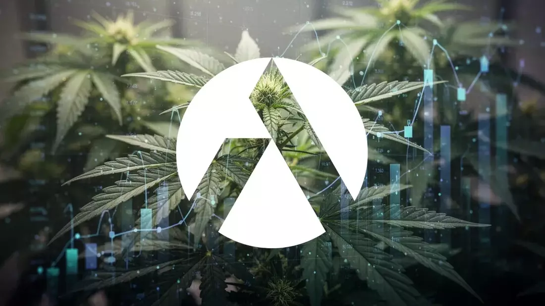 Tilray CFO Buys Shares as Stock Dips Despite Strong Q4 Revenue