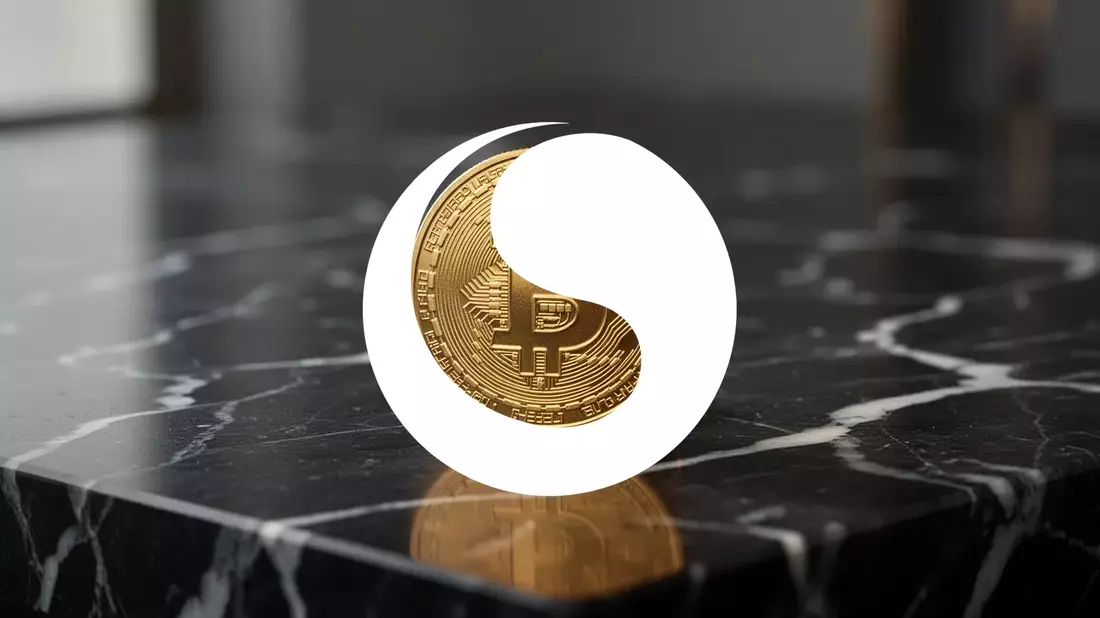 Vistance Networks: Sonderausschüttung von 5 Dollar je Aktie nach Ruckus-Verkauf