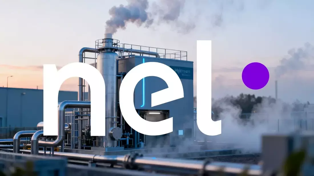 Nel ASA: Order Surge vs. Share Slump – A Contradictory Q2