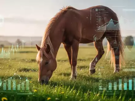 Ein gesundes Pferd auf einer grünen Weide, das die digitale Überwachung der Tiergesundheit symbolisiert. - Foto: über boerse-global.de