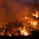 Die spanischen Behörden sind wegen der Waldbrandgefahr durch zehntausende Touristen in ländlichen Gebieten während der Sonnenfinsternis am kommenden Mittwoch in höchster Alarmbereitschaft.  - Bild: Elena Fernández/EUROPA PRESS/dpa