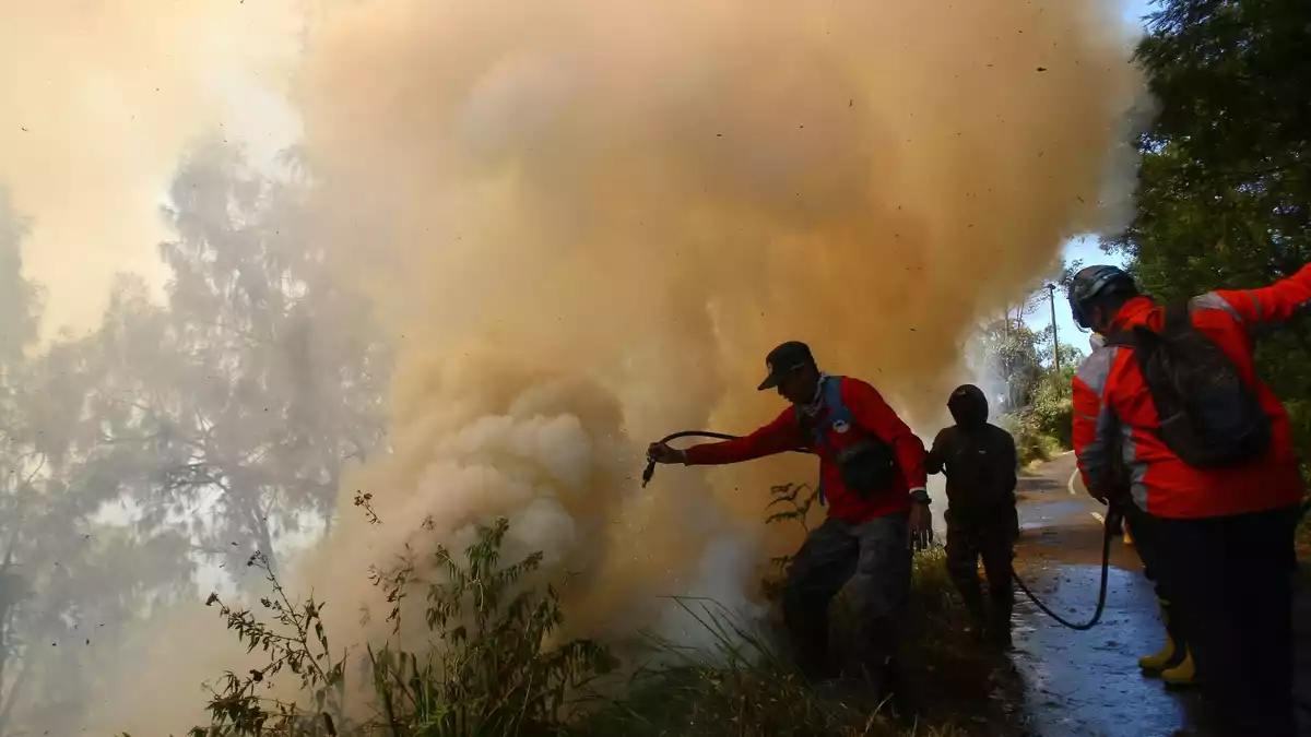 Der Brand war am Montag ausgebrochen. - Bild: JNA via ZUMA Press Wire/dpa
