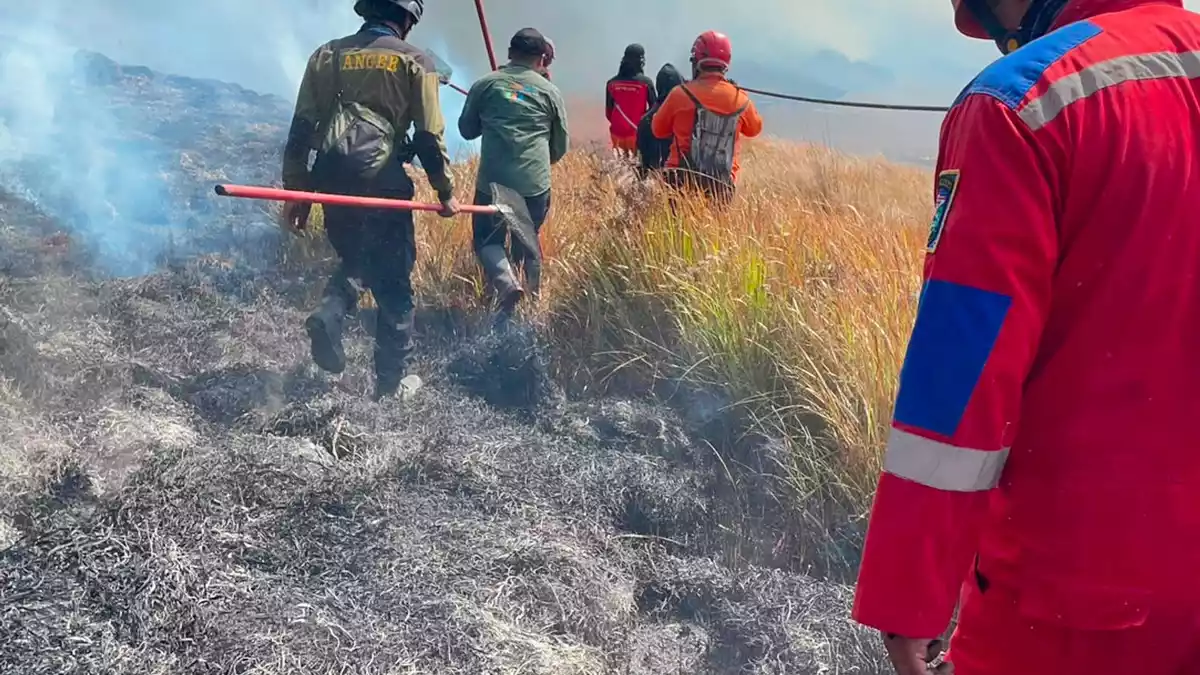 Dem Feuer sind schon 70 Hektar Land zum Opfer gefallen. - Bild: -/BNPB/dpa