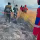 Dem Feuer sind schon 70 Hektar Land zum Opfer gefallen. - Bild: -/BNPB/dpa
