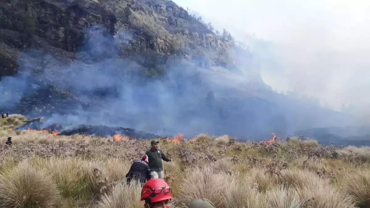 Waldbrände am Bromo sind in Dürrezeiten keine Seltenheit. - Bild: -/BNPB/dpa