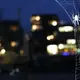 Eine Brückenspinne in ihrem Netz in der HafenCity in Hamburg (Illustration) - Bild: picture alliance / Jens Ressing/dpa