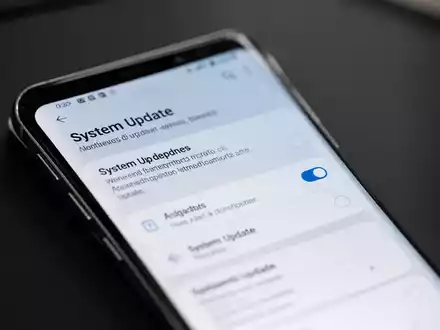Nahaufnahme eines Samsung-Smartphones, das die Update-Einstellungen des Google-Play-Systems anzeigt. - Foto: über boerse-global.de