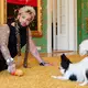 Glööckler und sein zehn Monate alter Papillon Ikarus - Bild: Uwe Anspach/dpa