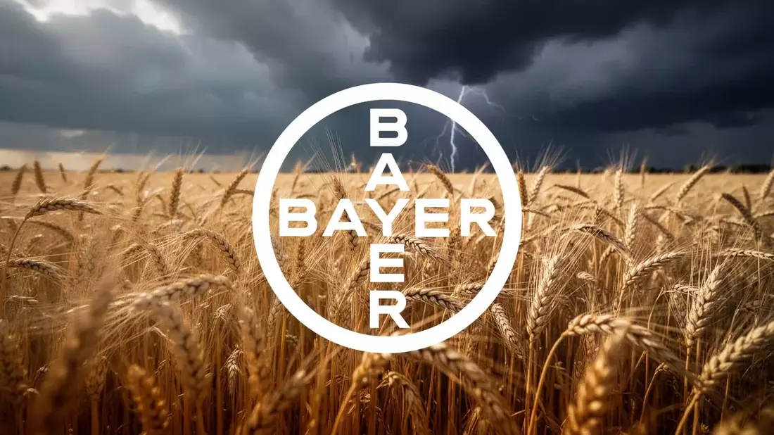 Bayer Q2 Beats, Roundup Settlement Delayed to Sept 14