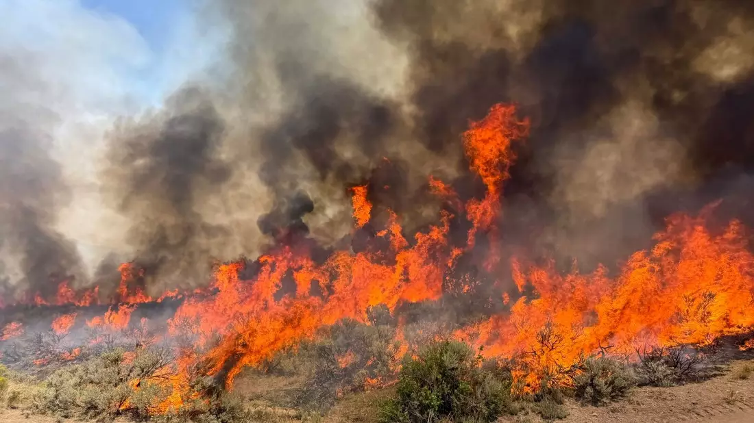 Derzeit brennt es vielerorts in Utah (Handout). - Bild: Uncredited/U.S. Forest Service/Fishlake National Fores/AP/dpa