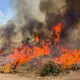 Derzeit brennt es vielerorts in Utah (Handout). - Bild: Uncredited/U.S. Forest Service/Fishlake National Fores/AP/dpa