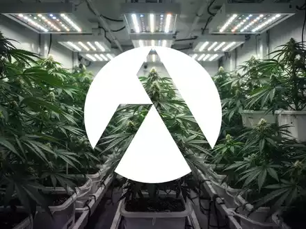 Moderne vertikale Cannabis-Anlage in einer professionellen, kontrollierten Innenraumumgebung mit stimmungsvoller Beleuchtung. - Foto: über boerse-global.de