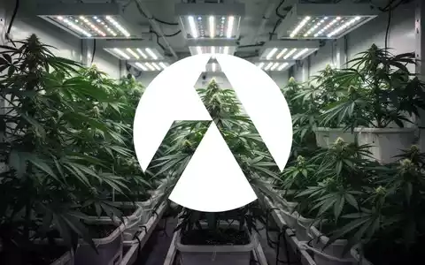 Moderne vertikale Cannabis-Anlage in einer professionellen, kontrollierten Innenraumumgebung mit stimmungsvoller Beleuchtung. - Foto: über boerse-global.de