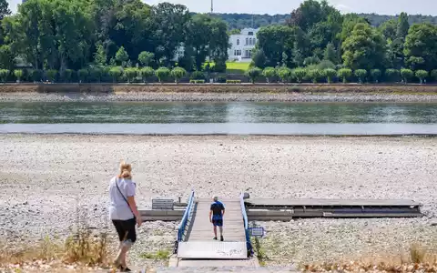 Niedrigwasser im Rhein in Bonn. Die Grünen fordern «intakte Flüsse als Priorität». - Foto: Benjamin Westhoff/dpa