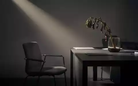 Ein minimalistischer Arbeitsplatz mit einem leeren Stuhl und einer welken Pflanze, der ein Gefühl von emotionaler Erschöpfung vermittelt. - Foto: über boerse-global.de