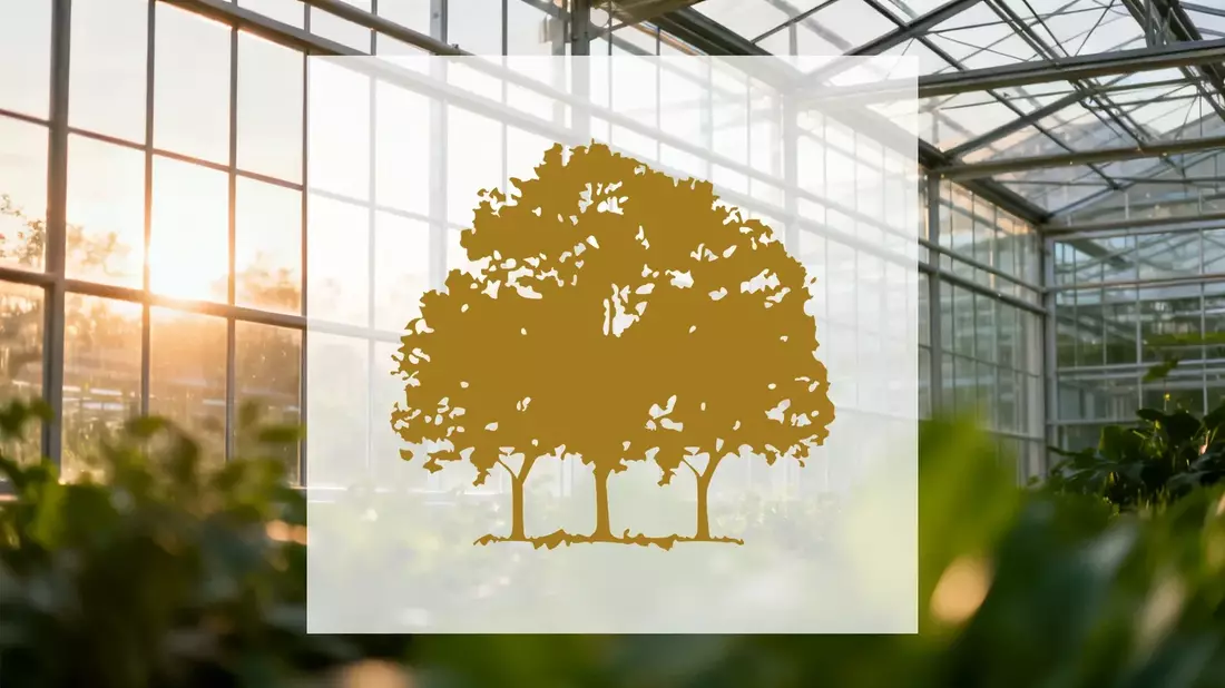 Canopy Growth übertrifft Erwartungen: Starkes Q1-Wachstum in allen Sparten