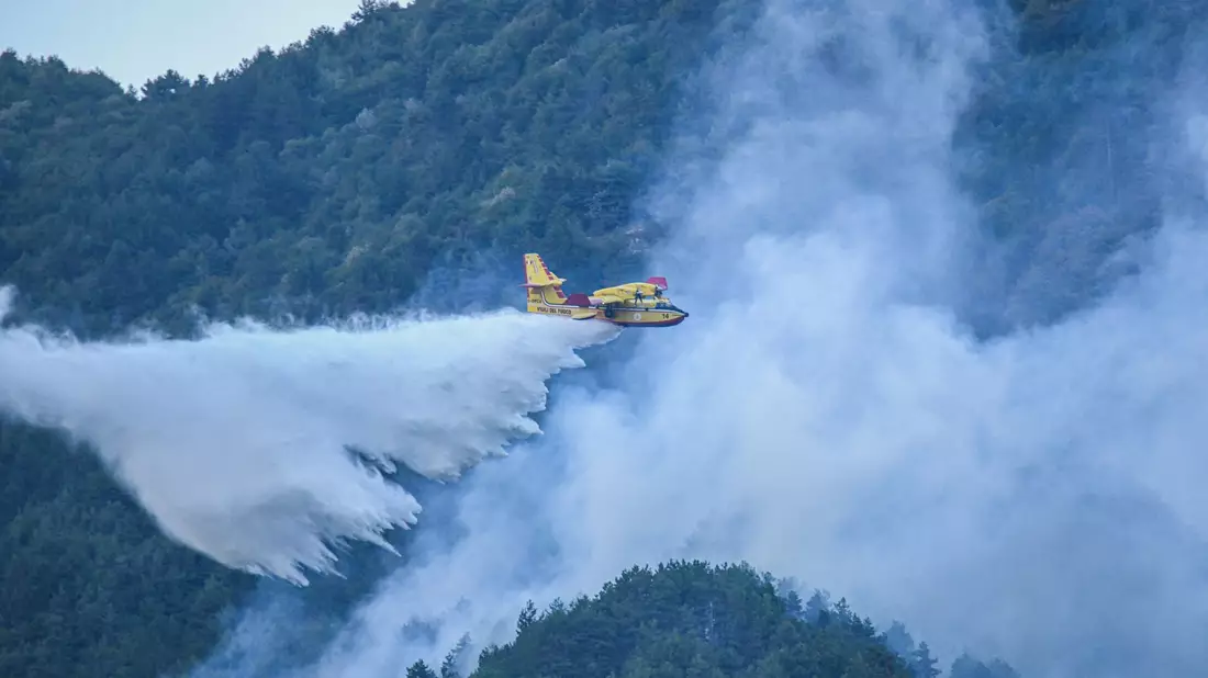Die Feuerwehr ist mit Löschflugzeugen im Einsatz. - Bild: Jason Tschepljakow/dpa