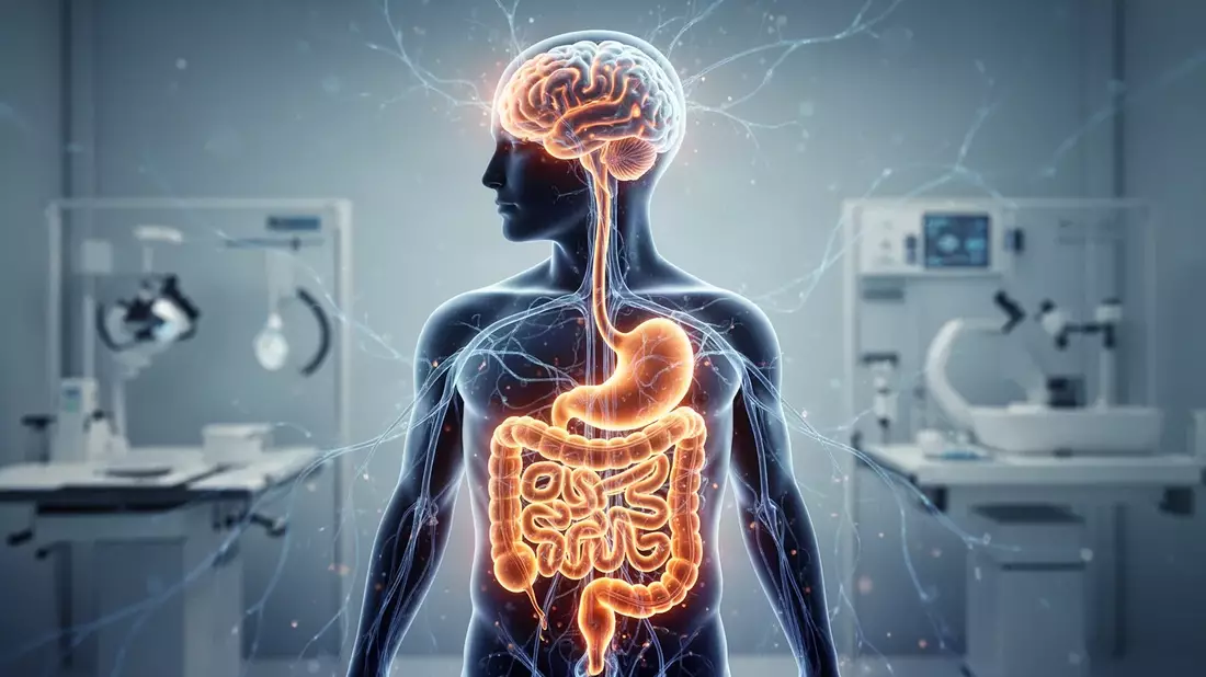Darm-Hirn-Achse: Neue Therapien gegen Depressionen und Brain Fog