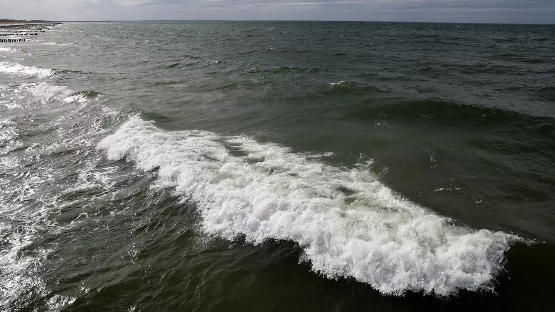 In der Ostsee vor dem polnischen Seebad Miedzyzdroje wurde ein Wal gesichtet. (Archivbild) - Bild: Bernd Wüstneck/dpa