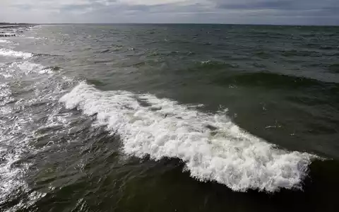 In der Ostsee vor dem polnischen Seebad Miedzyzdroje wurde ein Wal gesichtet. (Archivbild) - Foto: Bernd Wüstneck/dpa