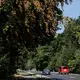 Wer in diesen Wochen draußen unterwegs ist, wähnt sich vielerorts bereits im Herbst. - Bild: David Ebener/dpa