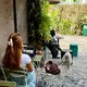 In den meisten Cafés in Canggu sitzen Remote Worker vor ihren Laptops. - Bild: Carola Frentzen/dpa