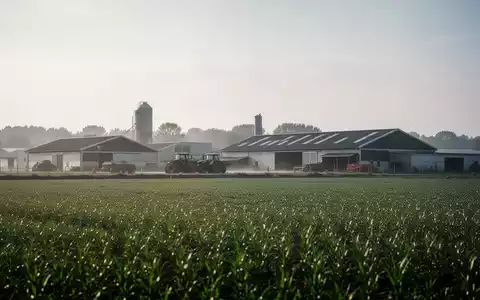 Ein landwirtschaftlicher Betrieb in der brandenburgischen Landschaft. - Foto: über boerse-global.de