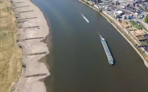 Seit Wochen führt der Rhein zu wenig Wasser. (Archivbild) - Foto: Christoph Reichwein/dpa