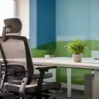 Ein aufgeräumter, ergonomischer Büroarbeitsplatz mit einer Pflanze und in Blau- und Grüntönen gestalteter Umgebung. - Foto: über boerse-global.de