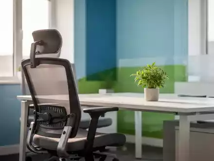 Ein aufgeräumter, ergonomischer Büroarbeitsplatz mit einer Pflanze und in Blau- und Grüntönen gestalteter Umgebung. - Foto: über boerse-global.de