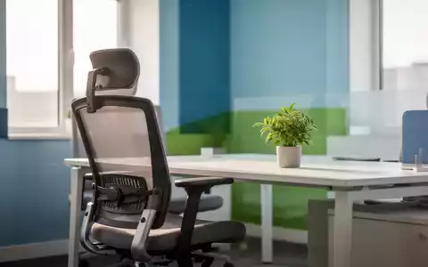 Ein aufgeräumter, ergonomischer Büroarbeitsplatz mit einer Pflanze und in Blau- und Grüntönen gestalteter Umgebung. - Foto: über boerse-global.de