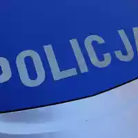 Die Behörden in Polen warnen vor einer freilaufenden Raubkatze. (Symbolbild) - Foto: Friedemann Kohler/dpa
