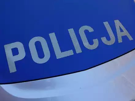 Die Behörden in Polen warnen vor einer freilaufenden Raubkatze. (Symbolbild) - Foto: Friedemann Kohler/dpa