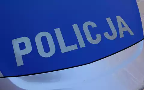 Die Behörden in Polen warnen vor einer freilaufenden Raubkatze. (Symbolbild) - Foto: Friedemann Kohler/dpa