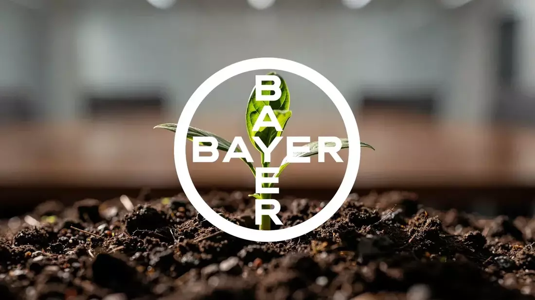 Bayer's $5B Bond Sale and Q2 Beat Signal Turning Point