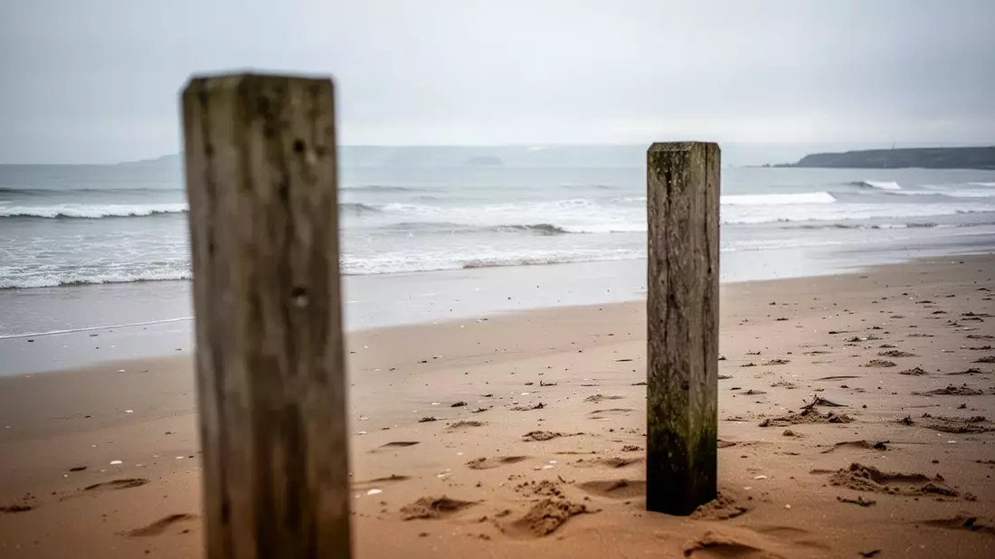 Wexford County Council has issued a formal Do Not Swim notice for Duncannon Beach following the detection of elevated bacteria levels during routine water quality monitoring. The emergency measure,…