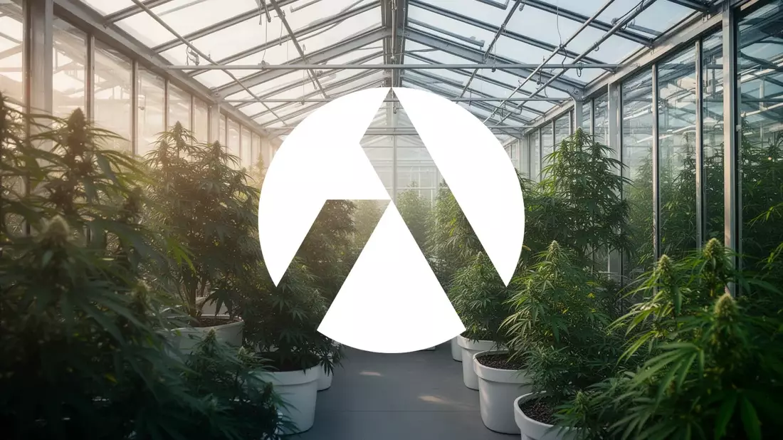 Tilray: Rekordumsatz und neue THC-Getränke treiben Wachstumsstrategie