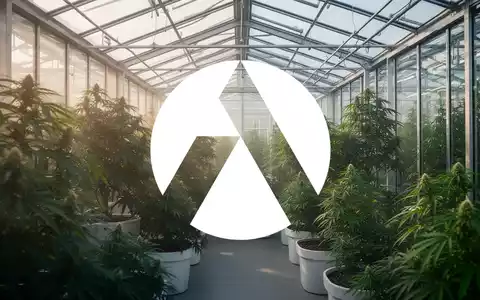 Moderne Gewächshausanlage mit üppigem Grün und atmosphärischer Beleuchtung als Symbol für den Cannabismarkt. - Foto: über boerse-global.de