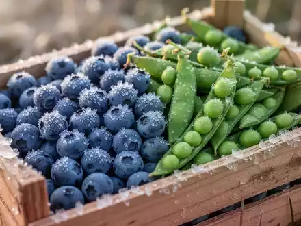 Nahaufnahme von frisch geernteten Blaubeeren und grünen Erbsen mit feinen Eiskristallen in einer Holzkiste. - Foto: über boerse-global.de