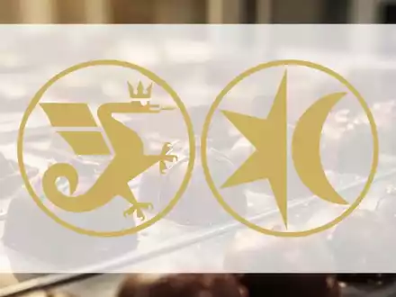 Hochwertige Schokoladenmanufaktur in eleganter, goldener Beleuchtung als Symbol für den Premium-Süßwarenmarkt. - Foto: über boerse-global.de