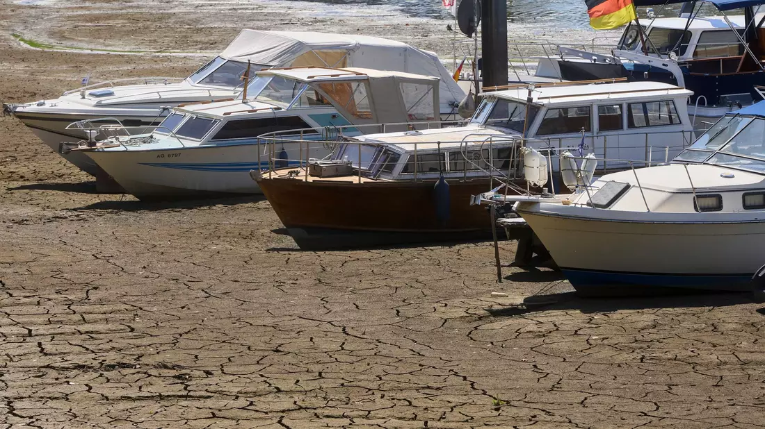 Die Wasserstände im Rhein sind wegen der anhaltenden Trockenheit stark gesunken.  - Bild: Thomas Frey/dpa
