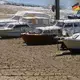 Die Wasserstände im Rhein sind wegen der anhaltenden Trockenheit stark gesunken.  - Bild: Thomas Frey/dpa