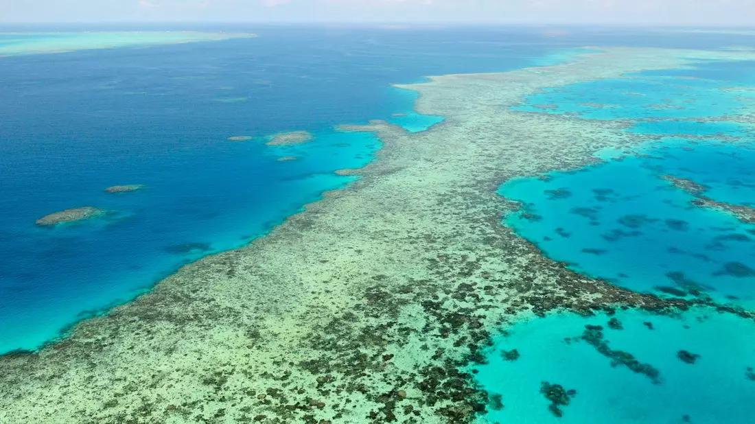 Das Great Barrier Reef gilt als eines der größten Naturwunder der Erde. (Archivbild) - Bild: Uncredited/Kyodo News via AP/dpa