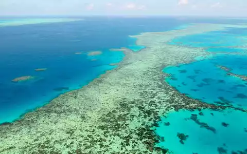 Das Great Barrier Reef gilt als eines der größten Naturwunder der Erde. (Archivbild) - Foto: Uncredited/Kyodo News via AP/dpa