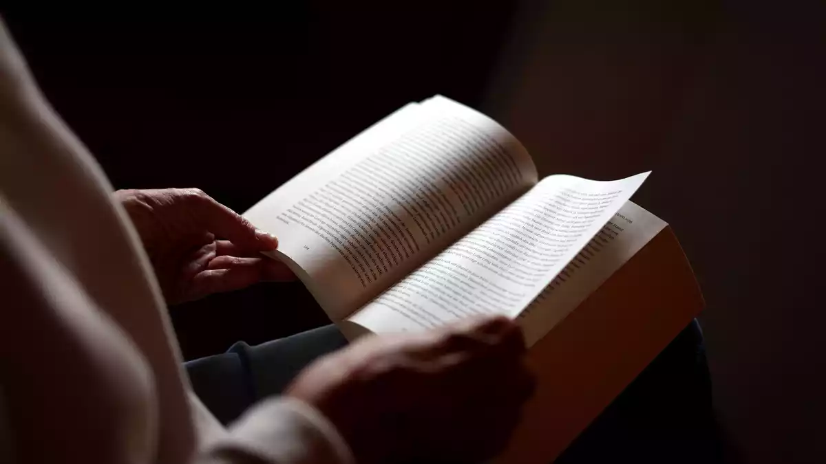 Die Jury hat mehr als 205 Romane für den Deutschen Buchpreis gesichtet. (Symbolbild) - Bild: Karl-Josef Hildenbrand/dpa